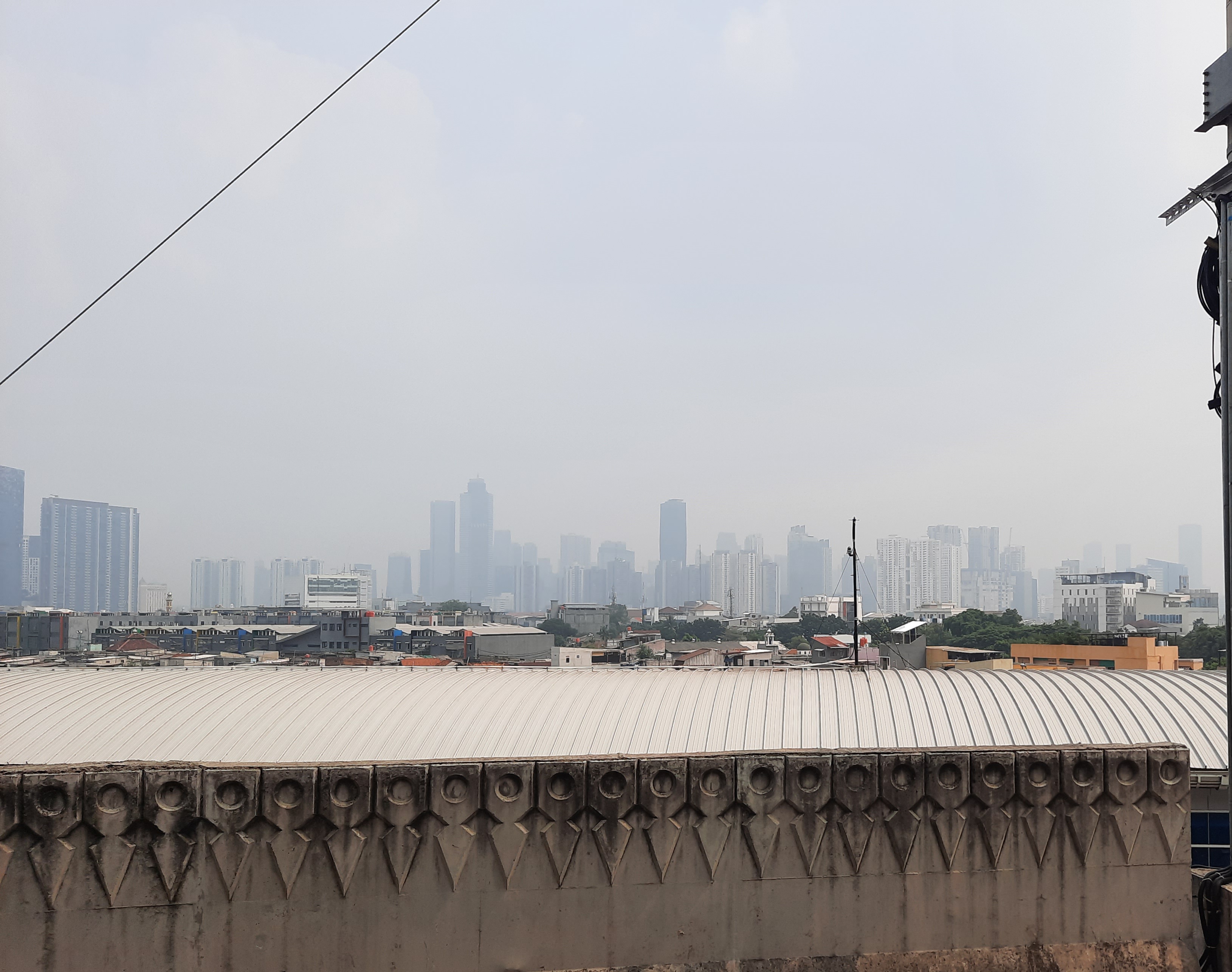 Jokowi Imbau Perbanyak Ruang Terbuka Hijau dan Hybrid Working 