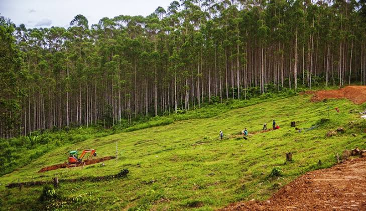 ATR BPN Upayakan Pengadaan Tanah Kawasan IKN Nusantara Clean and Clear