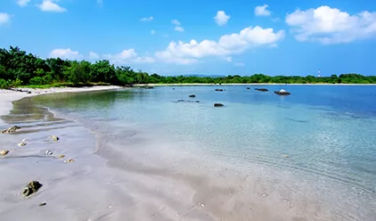 Jababeka Bentuk Usaha Patungan untuk Bangun Kebun Binatang di Tanjung Lesung